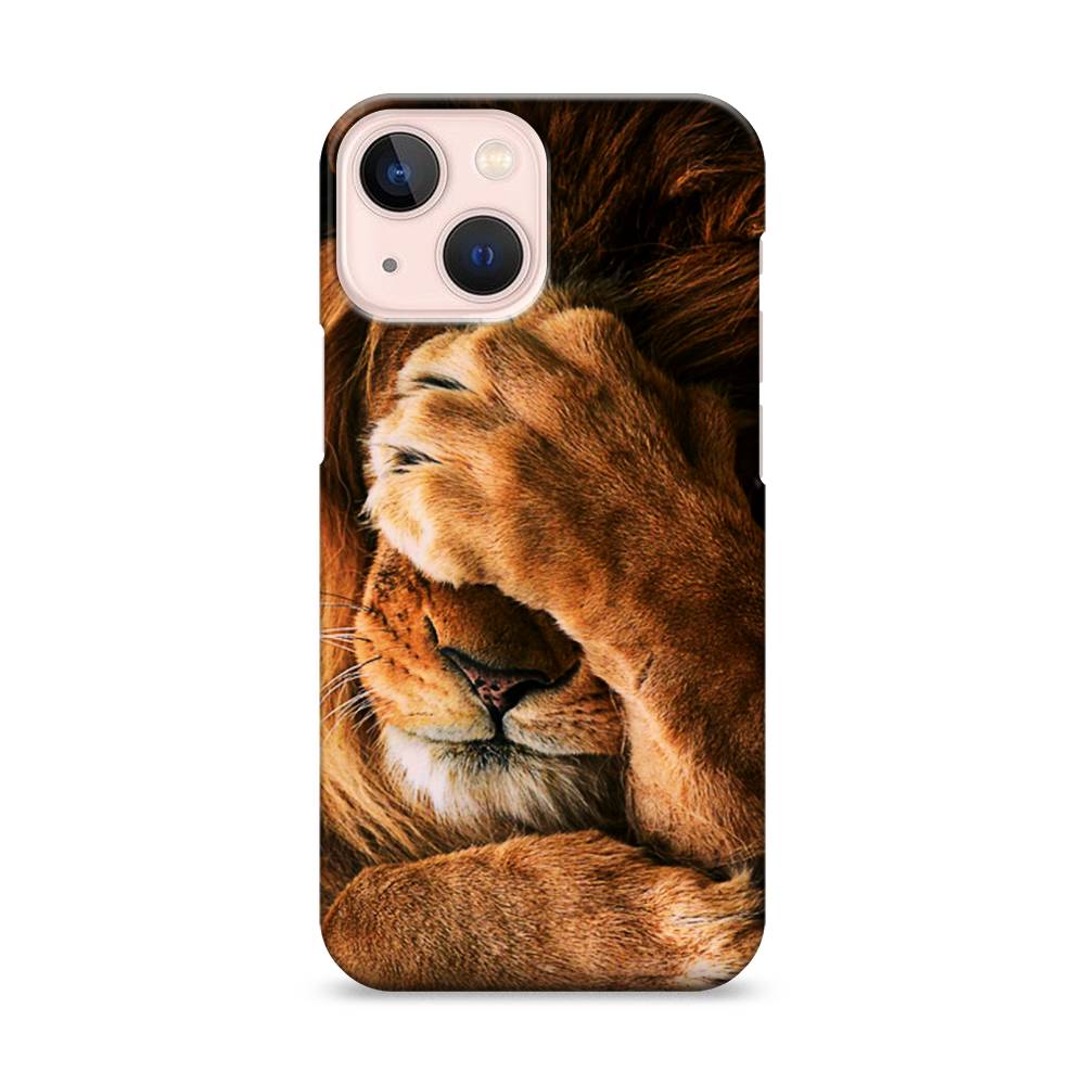 

Пластиковый чехол "Львиный стыд" на Apple iPhone 13 mini, 14120-1