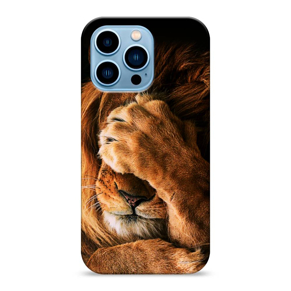 

Пластиковый чехол "Львиный стыд" на Apple iPhone 13 Pro, 14320-1