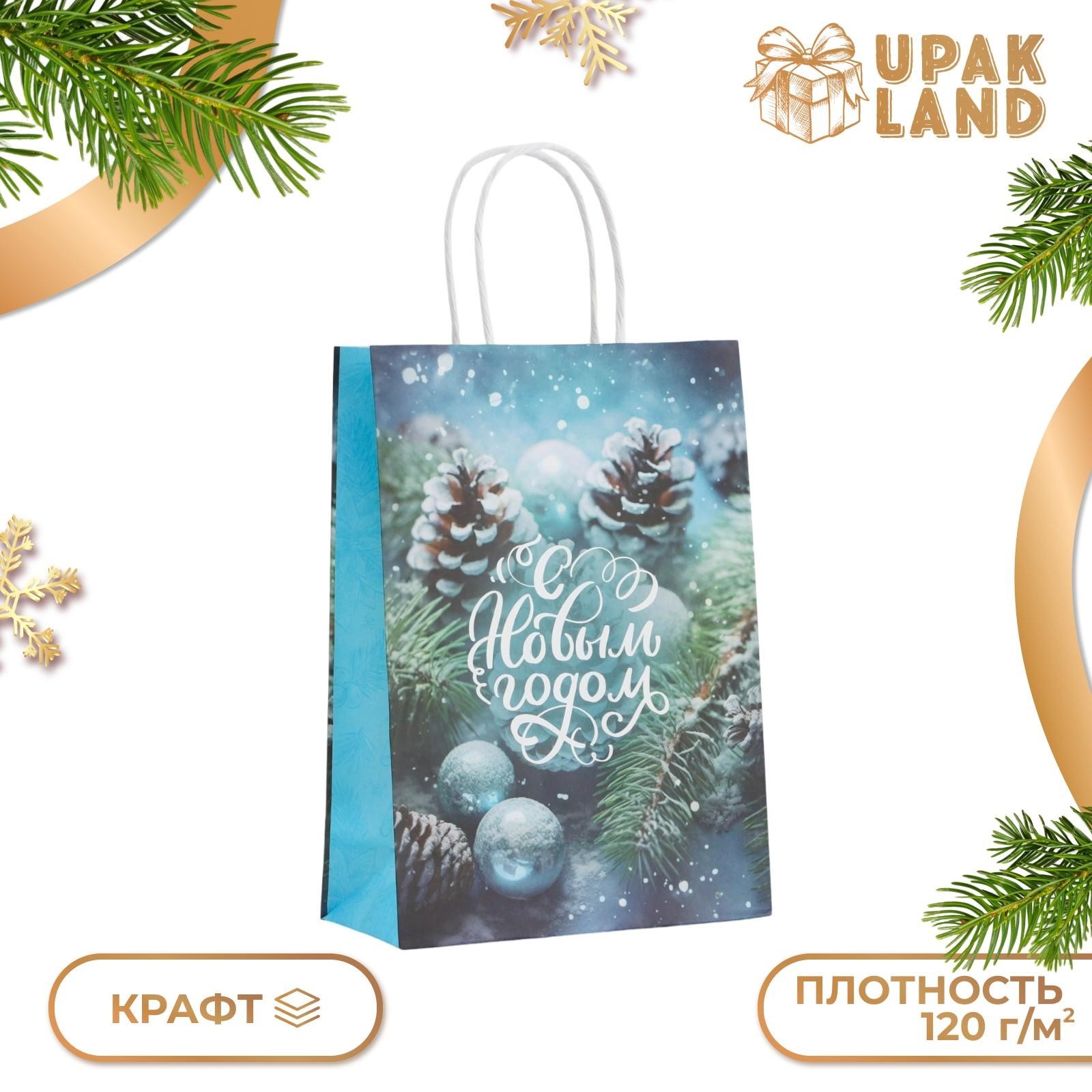 

Подарочный пакет UPAK LAND бумажный Шишки в снегу 18 х 8 х 25 см