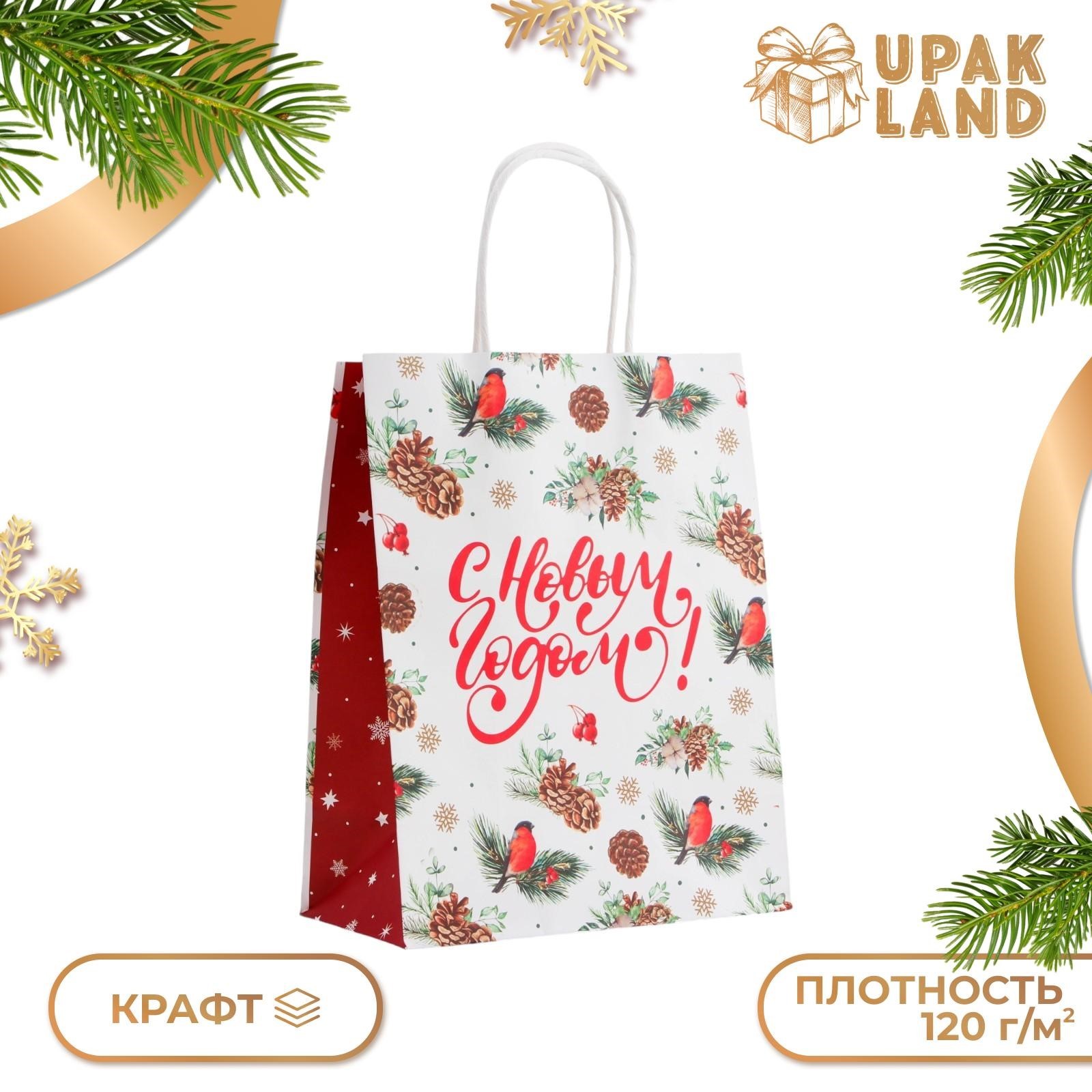 

Подарочный пакет UPAK LAND бумажный Новый год 27 х 21 х 11 см