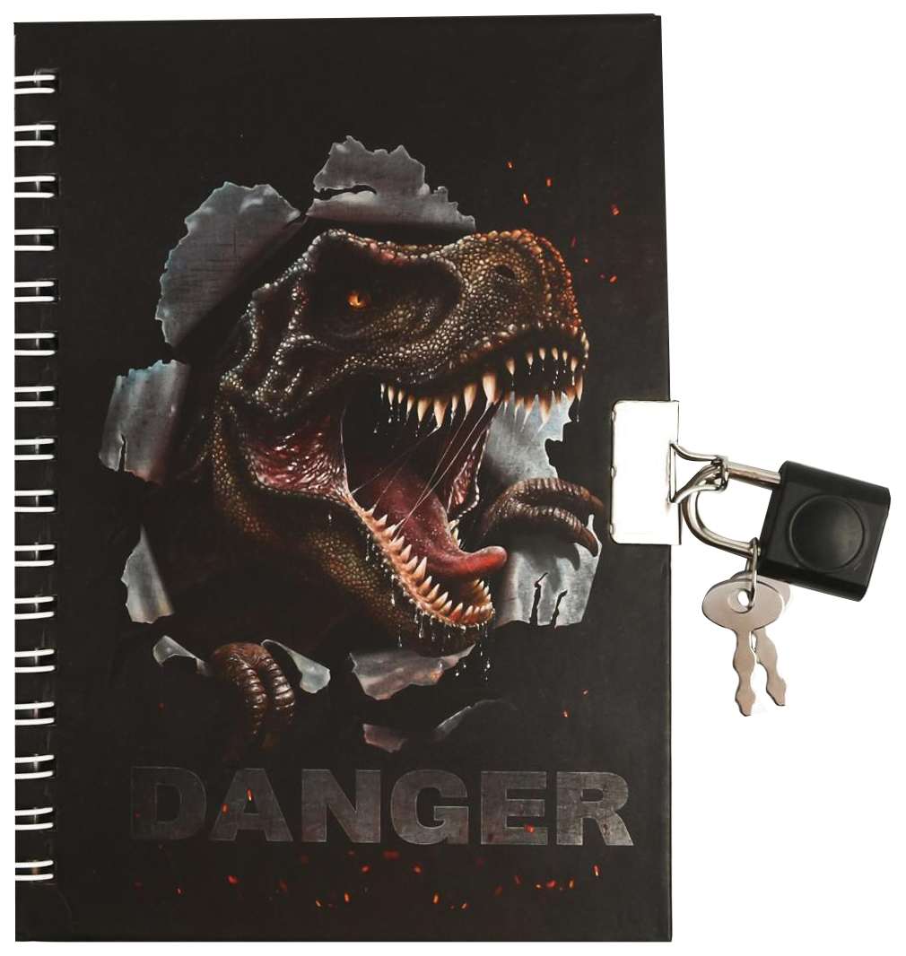 

Блокнот ArtFox на замочке А6, 50 л Danger