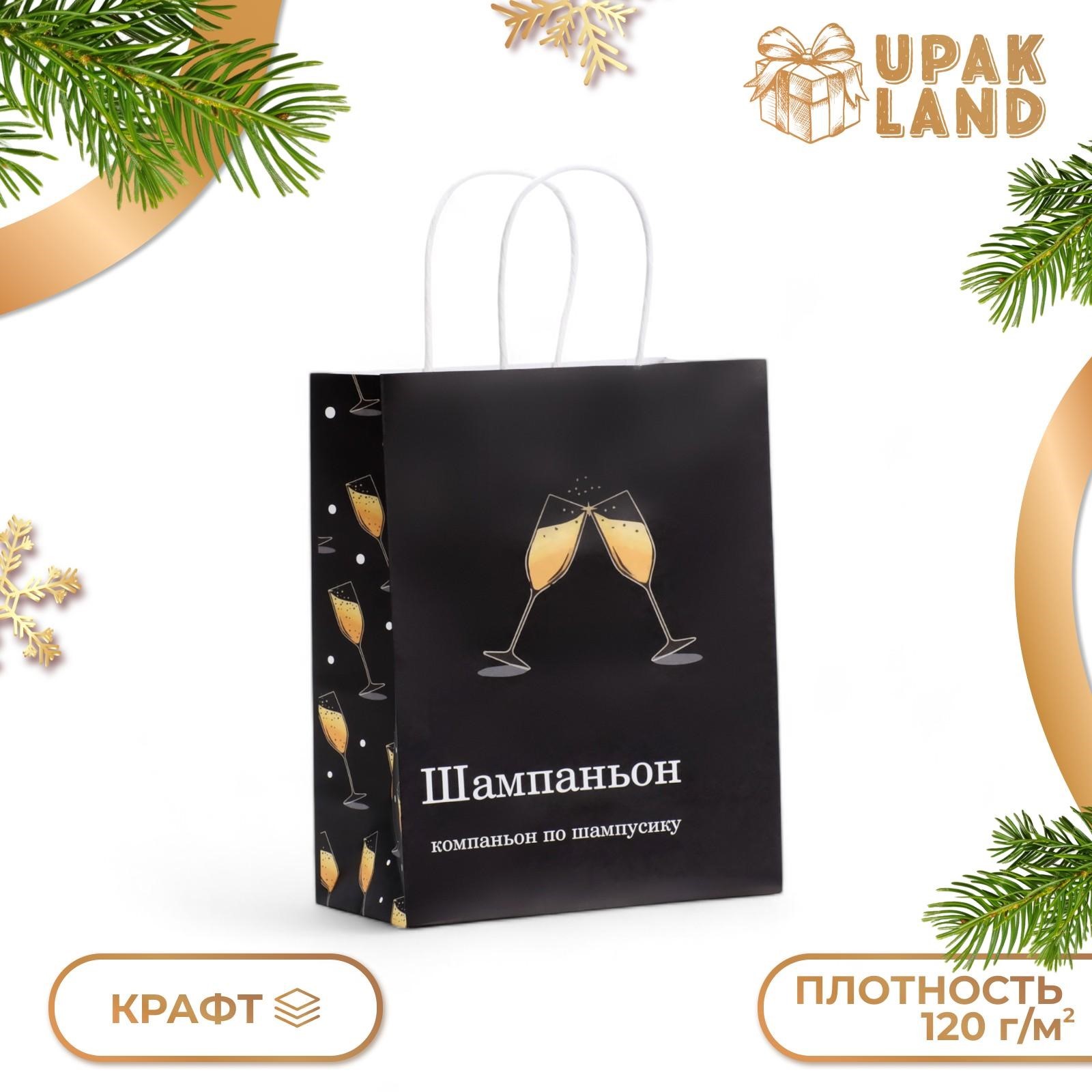 

Пакет подарочный UPAK LAND Шампаньон бумажный, 27 х 21 х 11 см, 1 уп