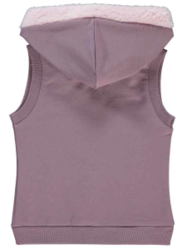 

Жилет с капюшоном Civil 44330E417K21-1, 9-12 мес, лиловый (доставка из-за рубежа), 44330E417K21-1