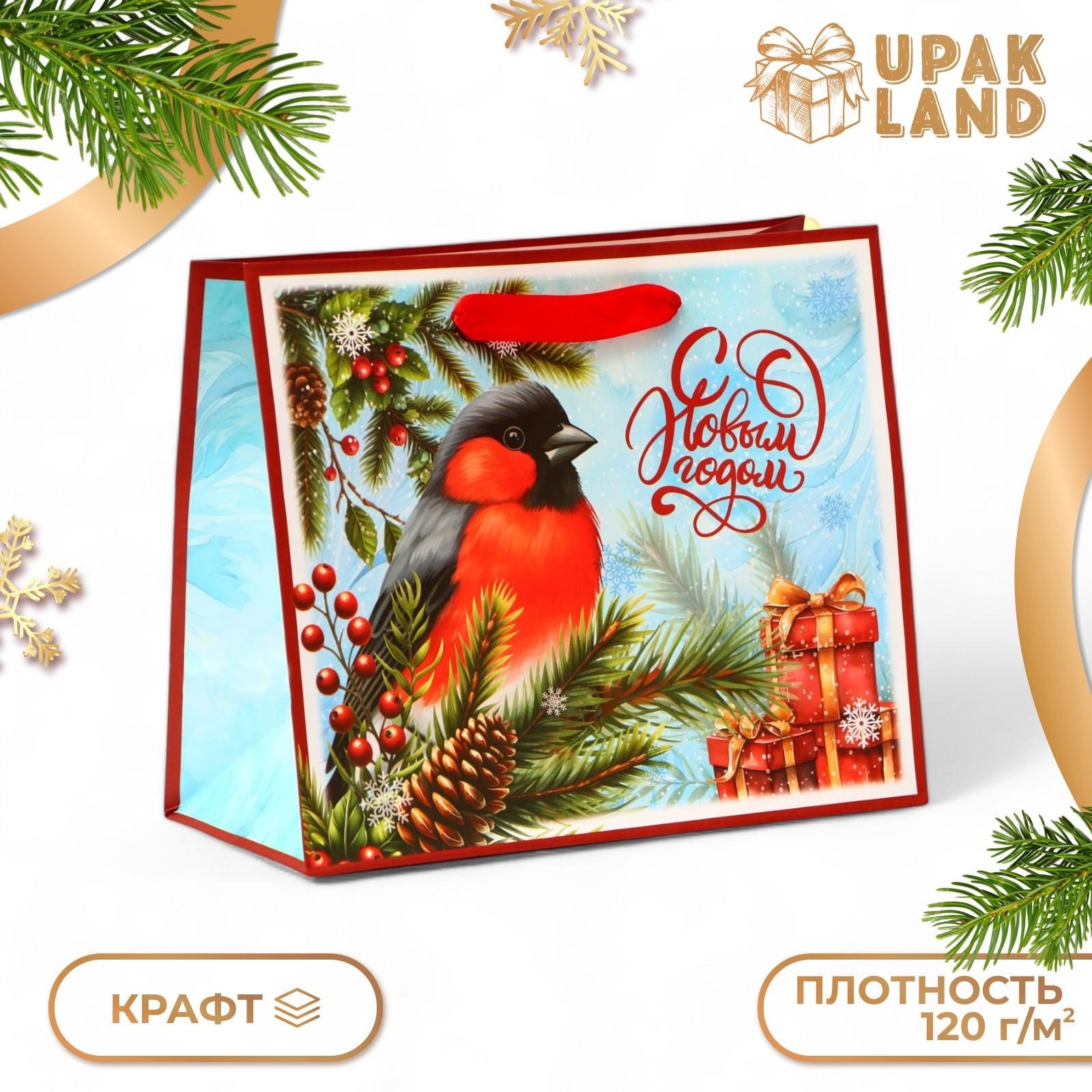 

Подарочный пакет UPAK LAND С Новым Годом, 24 х 20 х 11 см