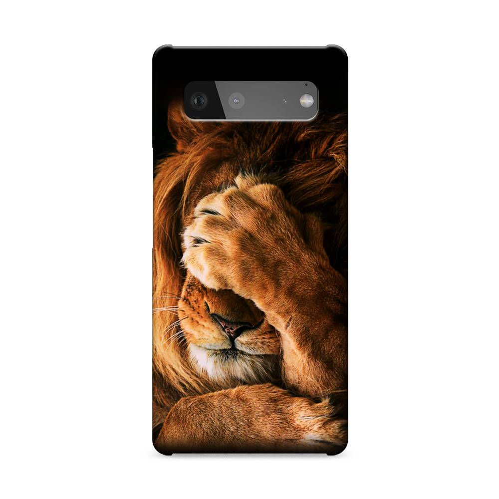 

Пластиковый чехол "Львиный стыд" на Google Pixel 6, 270820-1