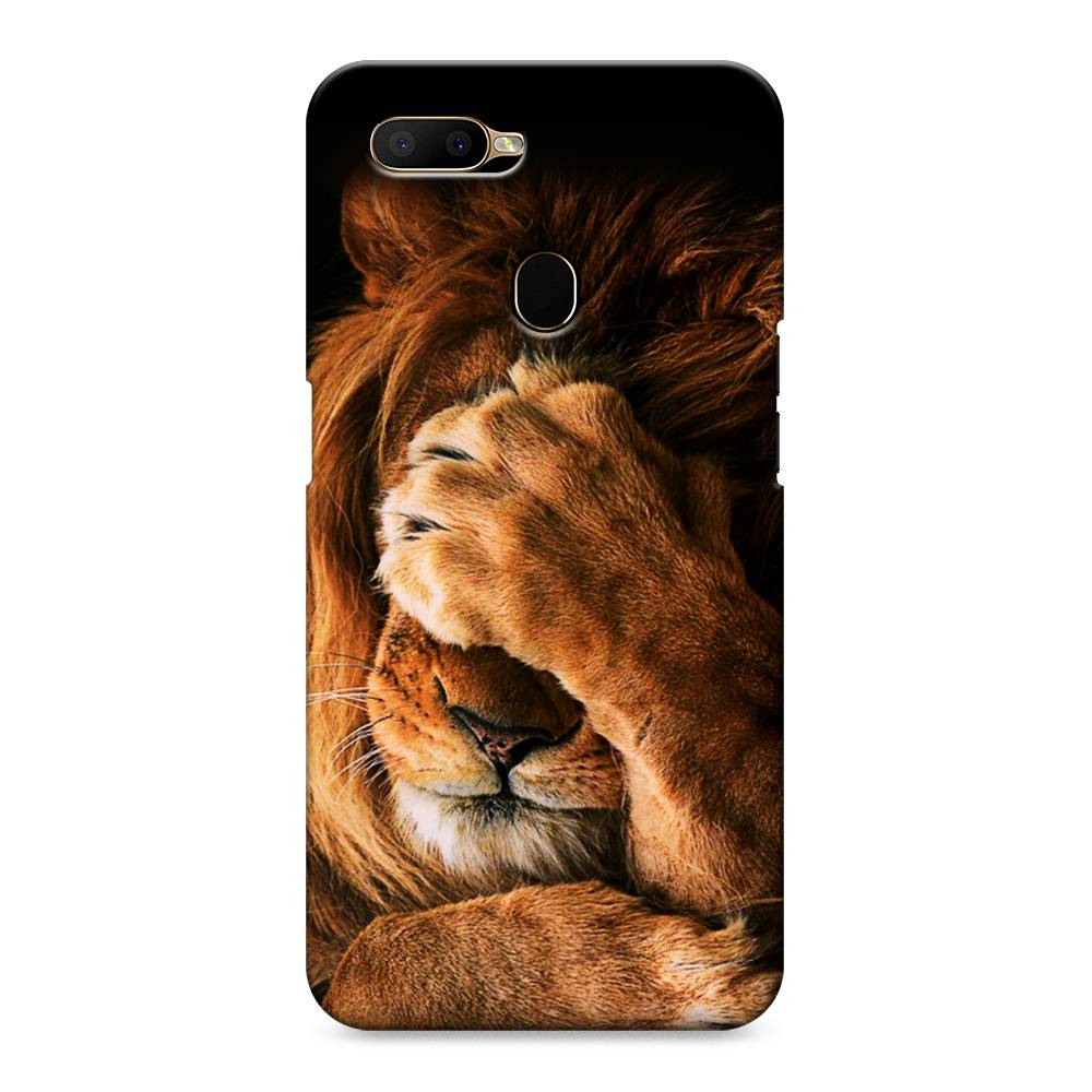 

Пластиковый чехол "Львиный стыд" на Oppo A5s, 252320-1