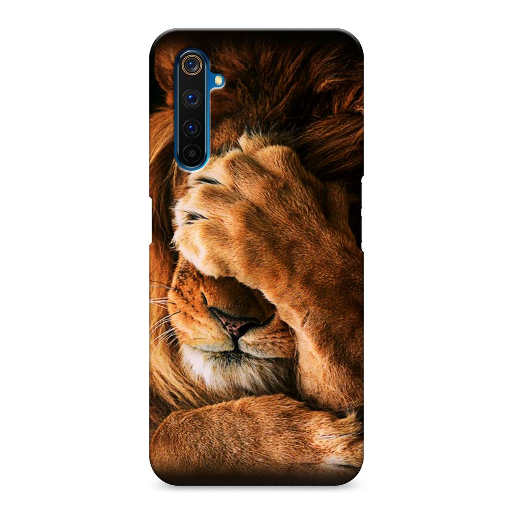 

Пластиковый чехол "Львиный стыд" на Realme 6 Pro, 252820-1