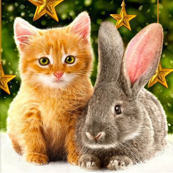 

Алмазная вышивка Котенок и кролик под ёлкой