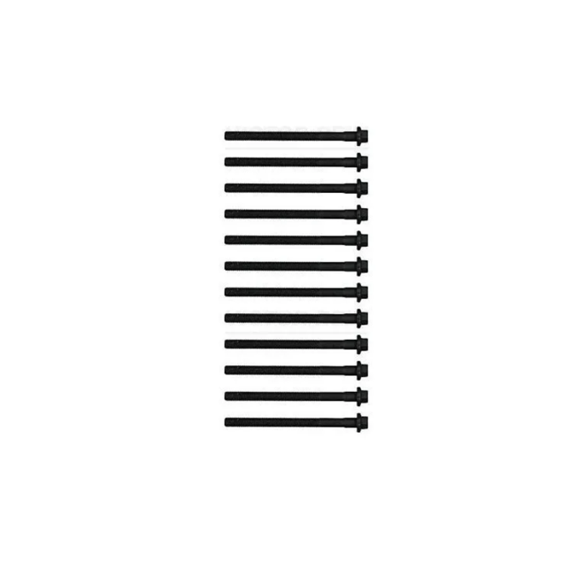 

Комплект болтов ГБЦ, VICTOR REINZ 14-32286-01