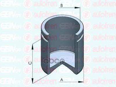 

Поршень Суппорта Seinsa Autofren арт. D025413