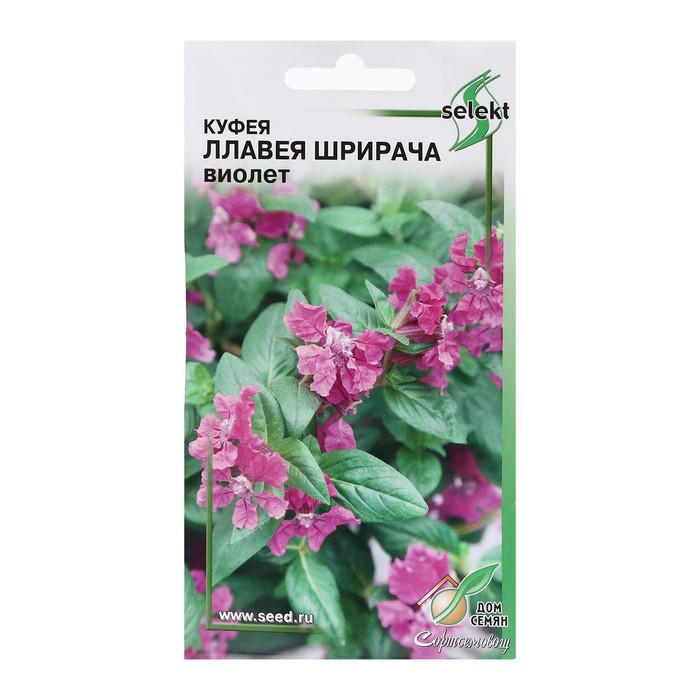 

Семена куфея Дом семян Ллавея Шрирача 9485374-2p 2 уп.