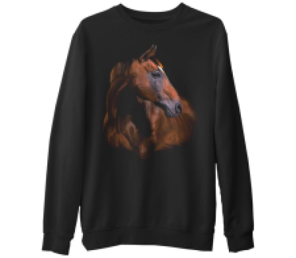 

Свитшот мужской Lord Tshirt SK-560 черный M (доставка из-за рубежа), SK-560