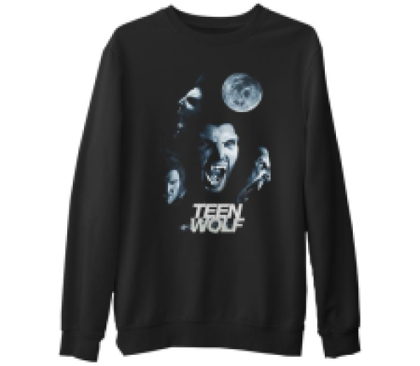 

Свитшот мужской Lord Tshirt SK-564 черный 2XL (доставка из-за рубежа), SK-564