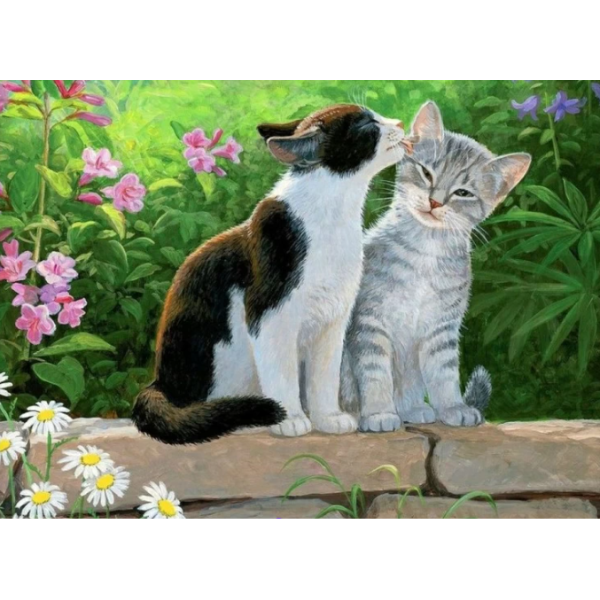 

Алмазная вышивка Кошачья нежность