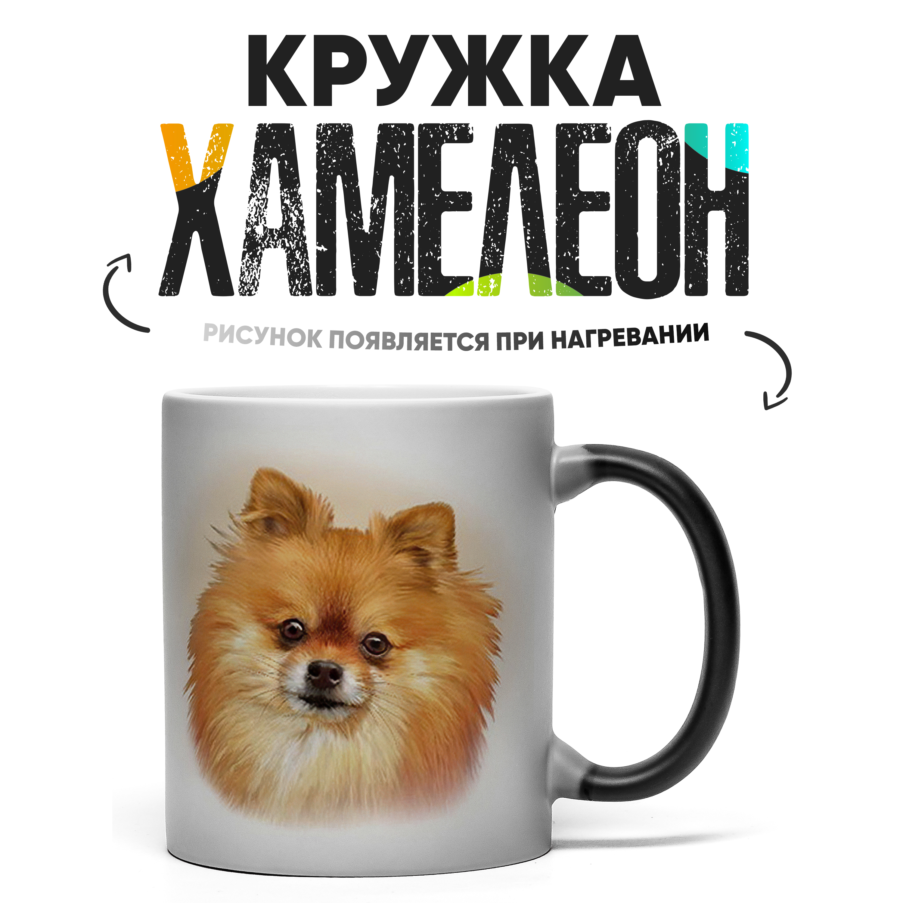 

Кружка Хамелеон КР160217ХМ, Хамелеон