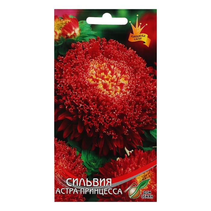 

Семена астра Дом семян Принцесса Сильвия 5454060-2p 2 уп.