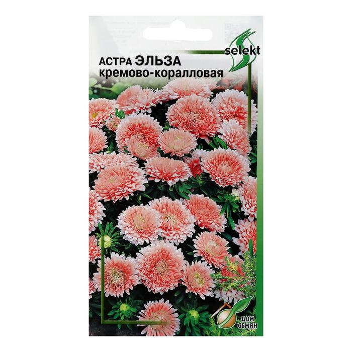 

Семена астра Дом семян Эльза 5454039-2p 2 уп.