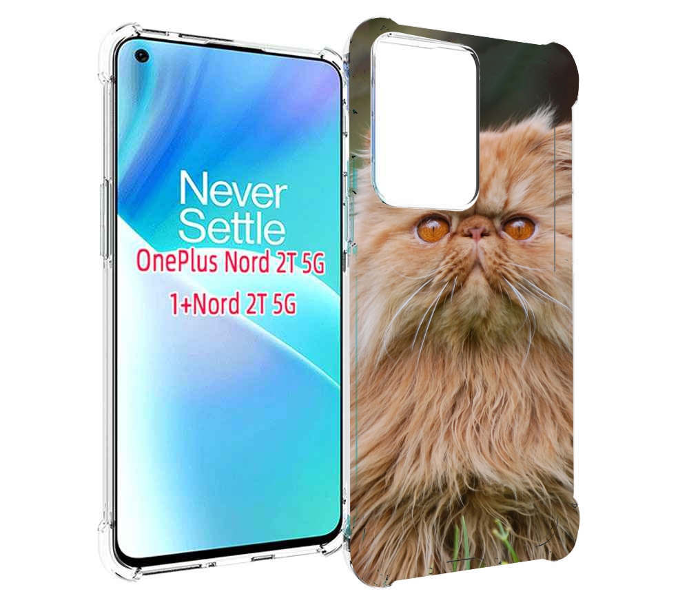 Чехол MyPads кошка персидская для OnePlus Nord 2T