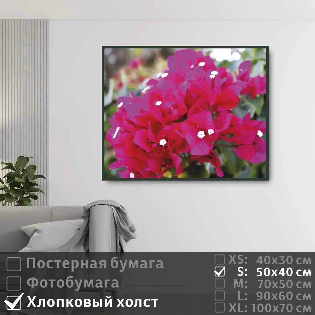 

Постер на холсте ПолиЦентр Ветка нежной бугенвиллии 50х40 см, ВеткаНежнойБугенвиллии