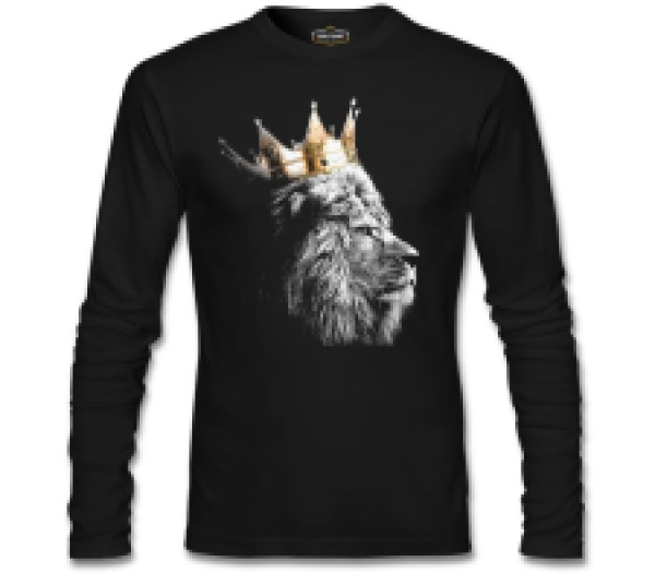 

Свитшот мужской Lord Tshirt SL-1717 черный L (доставка из-за рубежа), SL-1717