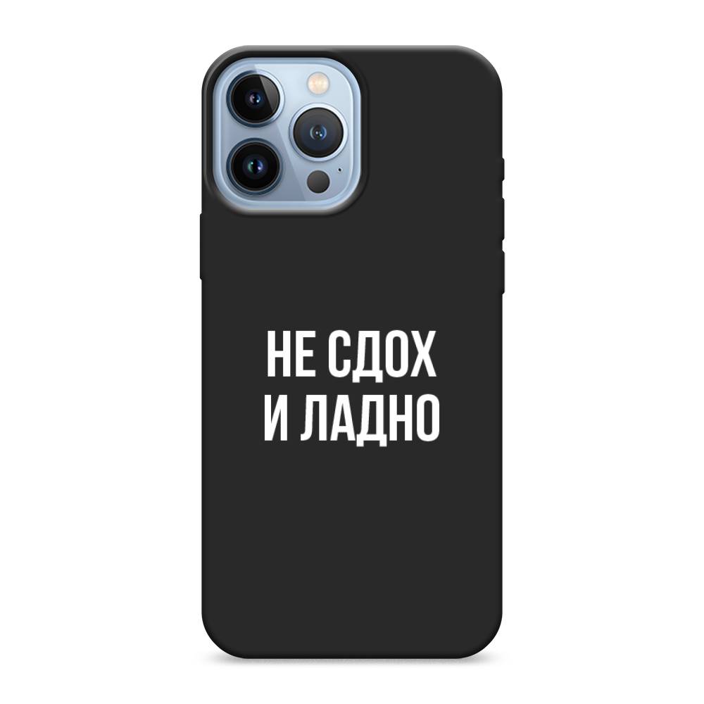 фото Матовый силиконовый чехол "не сдох и ладно" на apple iphone 13 pro max awog