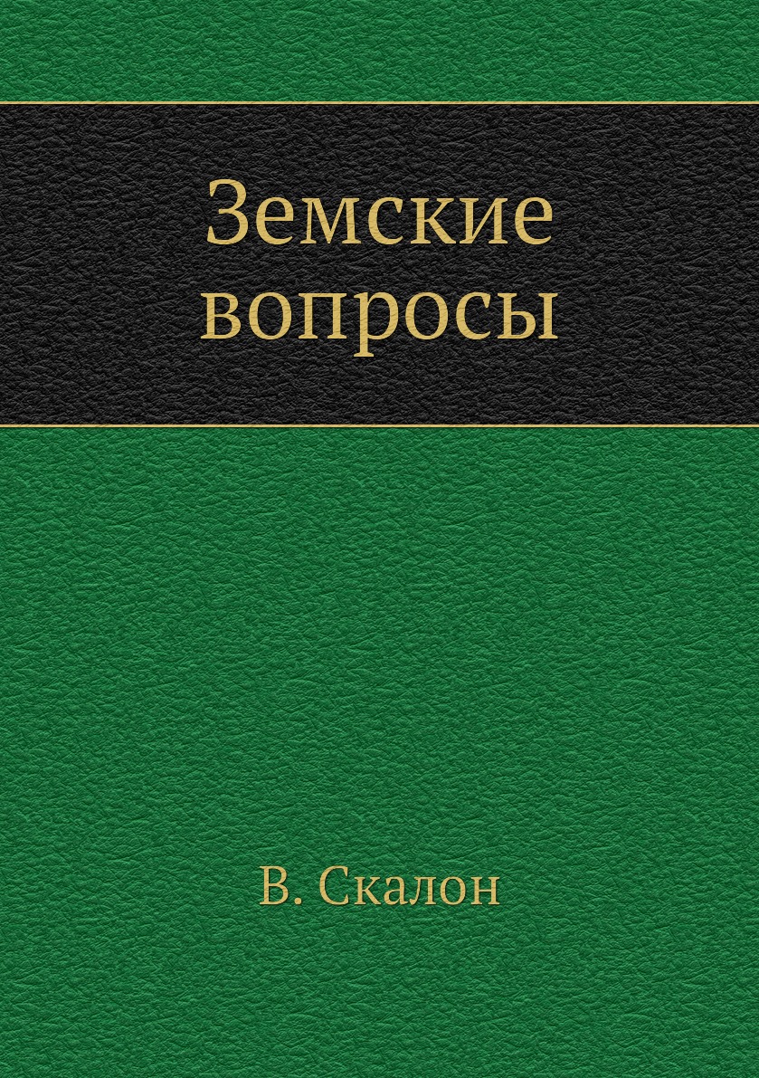 

Книга Земские вопросы