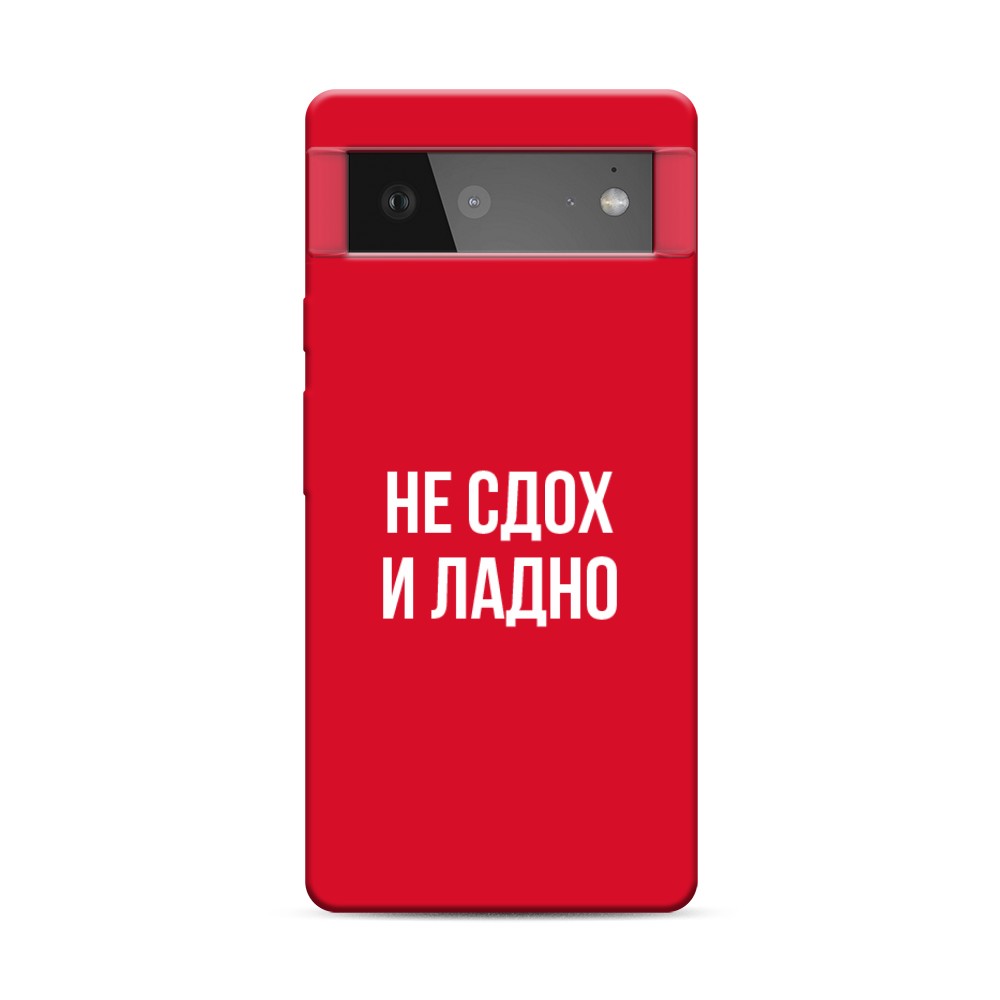 

Чехол Awog на Google Pixel 6 "Не сдох и ладно", Разноцветный, 270853-1