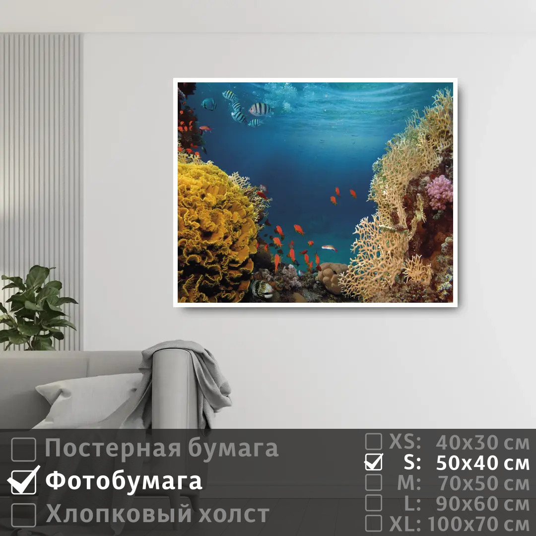 

Постер на фотобумаге ПолиЦентр Морские рыбки в коралловых рифах 50х40 см, МорскиеРыбкиВКоралловыхРифах