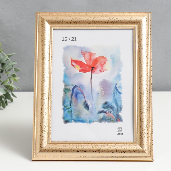 фото Фоторамка 15х21 см (609) пластик zebra