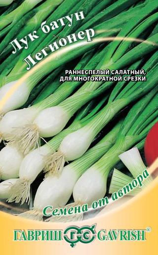

Семена лук-батун Гавриш Легионер 1911395 1 уп.