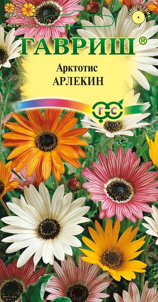 

Семена арктотис Гавриш Арлекин 191021337 1 уп.
