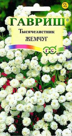 

Семена тысячелистник Гавриш Жемчуг 1911 1 уп.