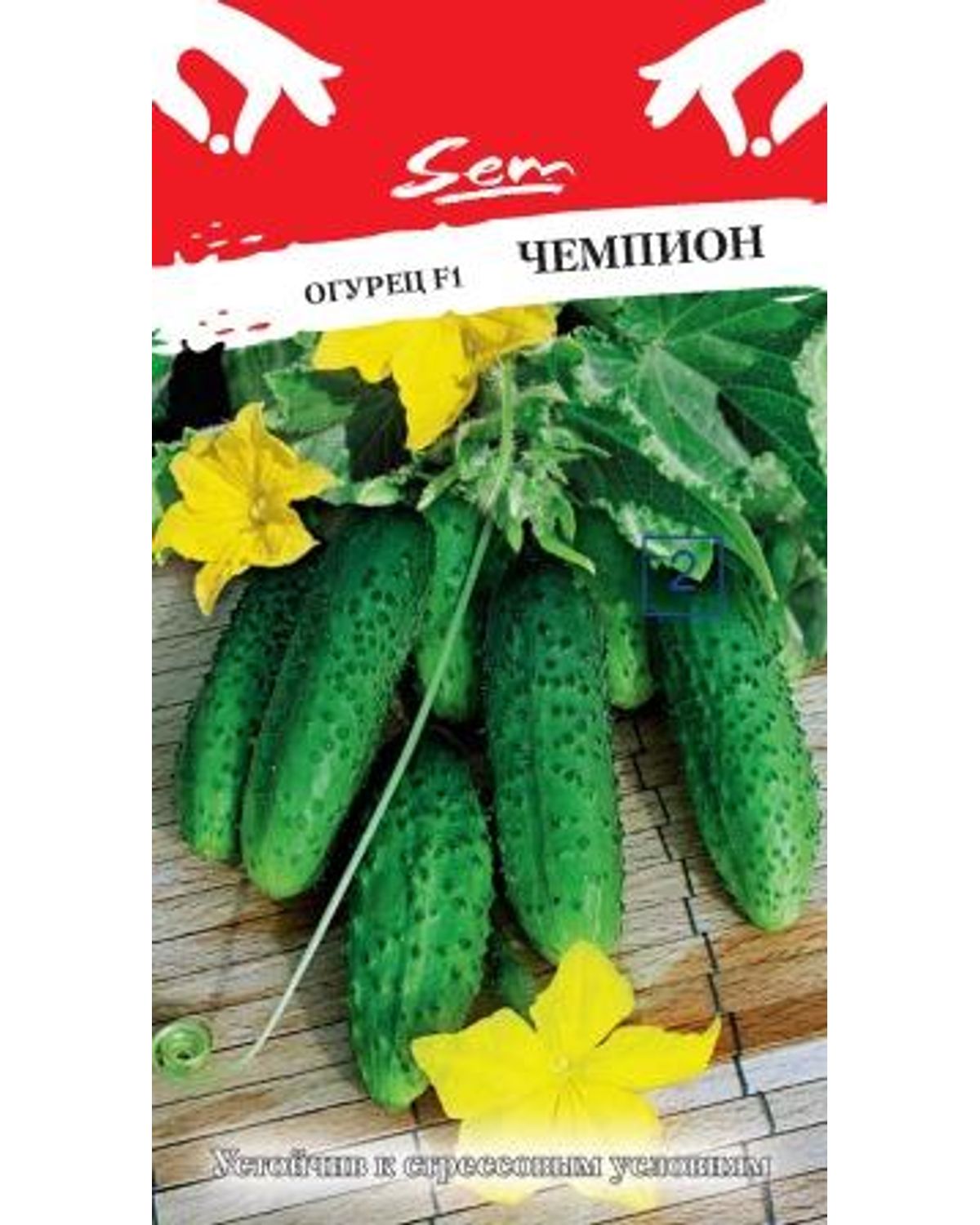 Купить Семена Огурцов Конни