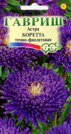 

Семена цветов Гавриш Астра Боретта темно-фиолетовая 0,3 г 10 шт., Фиолетовый
