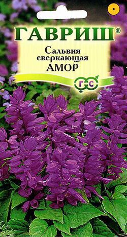 

Семена цветов Гавриш Сальвия лавандовая Амор 10 пакетов, Фиолетовый