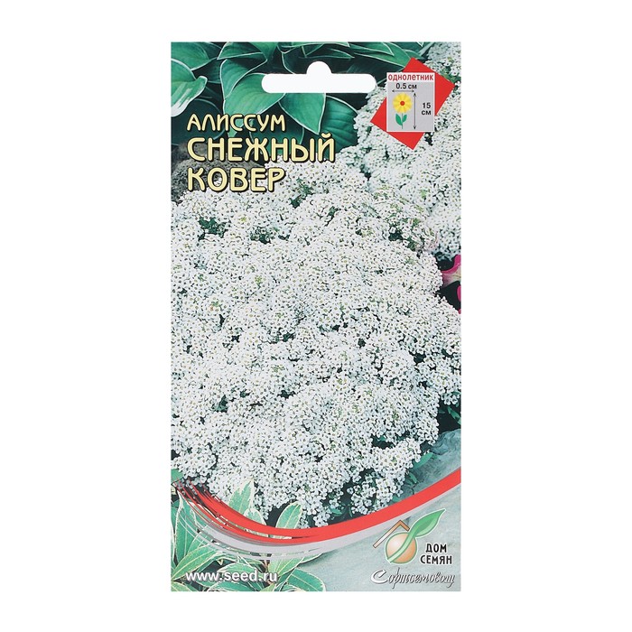 

Семена Алиссум "Снежный ковер", 180 шт