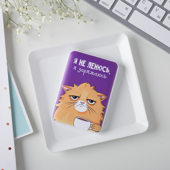 

Портативный аккумулятор, «Я не ленюсь» 5000 mAh, 2 USB-разъёма