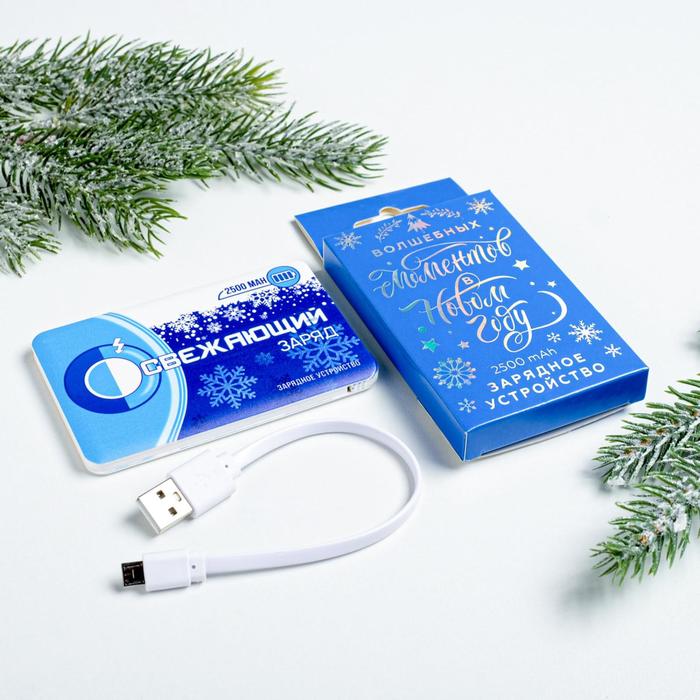 

Портативный аккумулятор "Освежающий заряд", 2500 mAh, 6 х 9,5 см