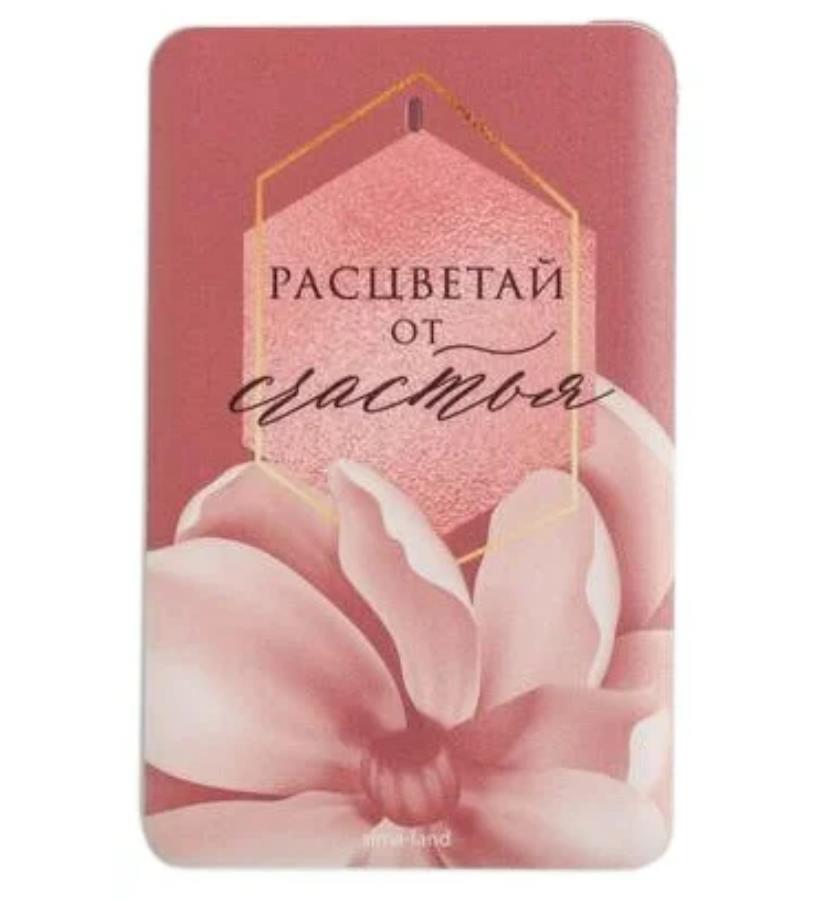 

Зарядное устройство «Расцветай от счастья», 2500 mAh, 6 х 9,5 см