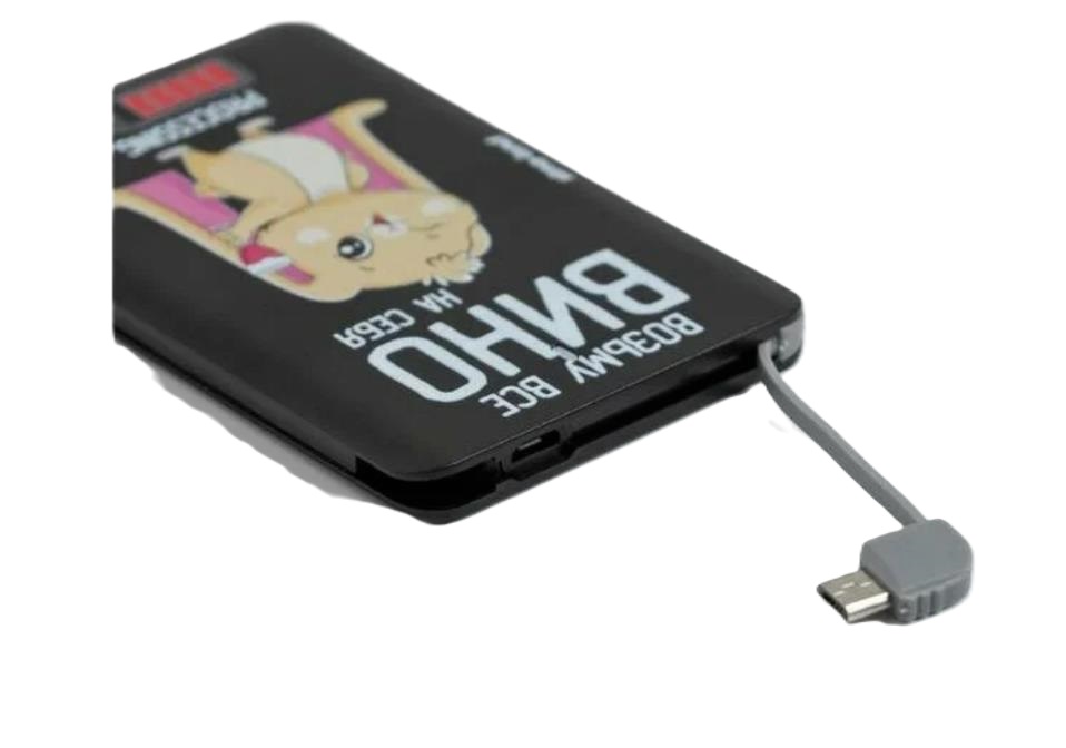 

Зарядное устройство «Возьму все вино на себя», 2500 mAh, 6 х 9,5 см