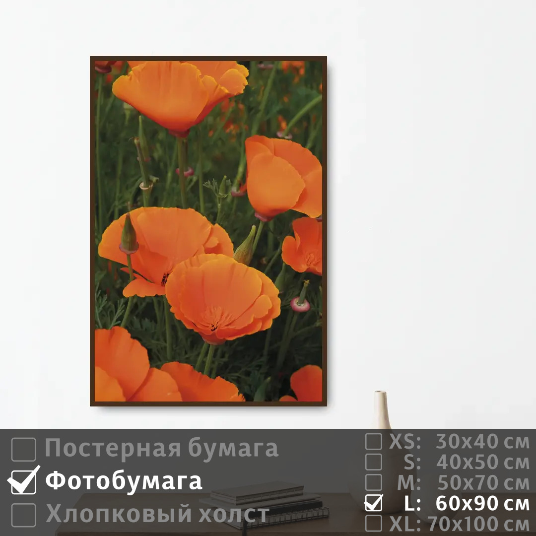 

Постер на фотобумаге ПолиЦентр Летние оранжевые маки 60х90 см, ЛетниеОранжевыеМаки