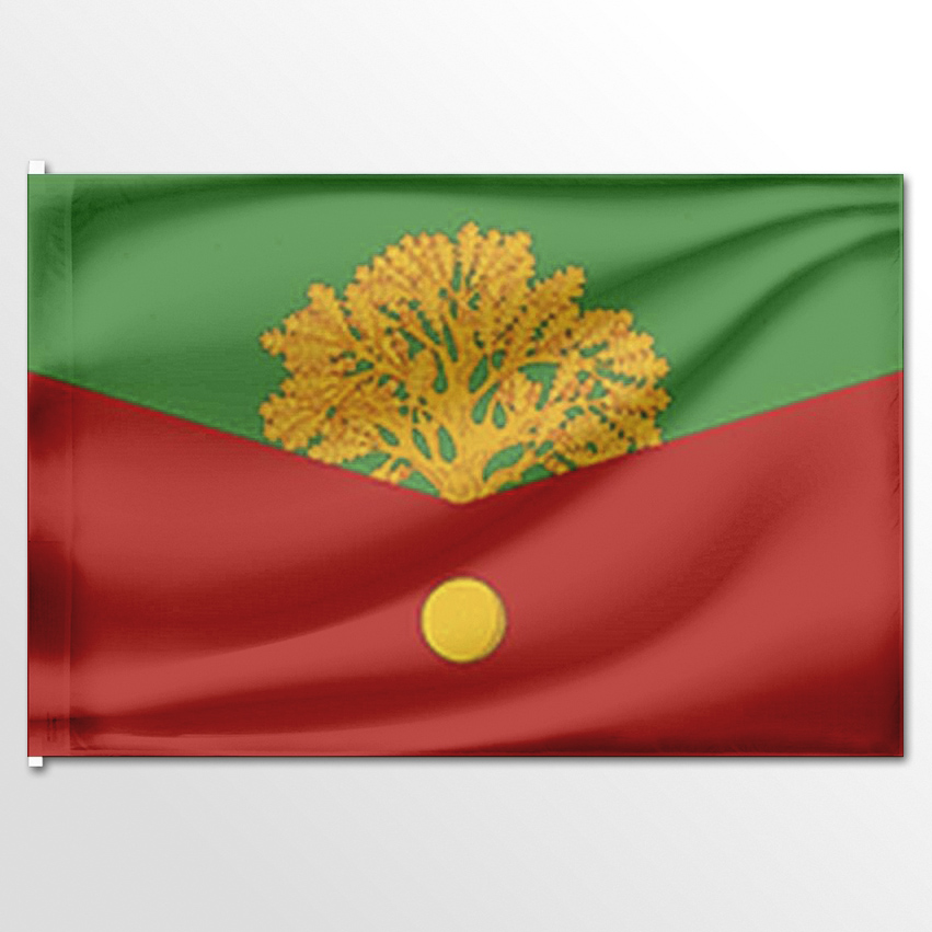 

Флаг ЦТП ФЕНИКС Кармановского сельского поселения 135x90 см, 7315-135x90