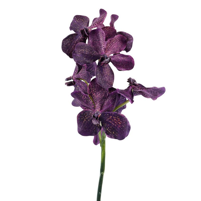 Орхидея лиловая Decor-of-today TS00797