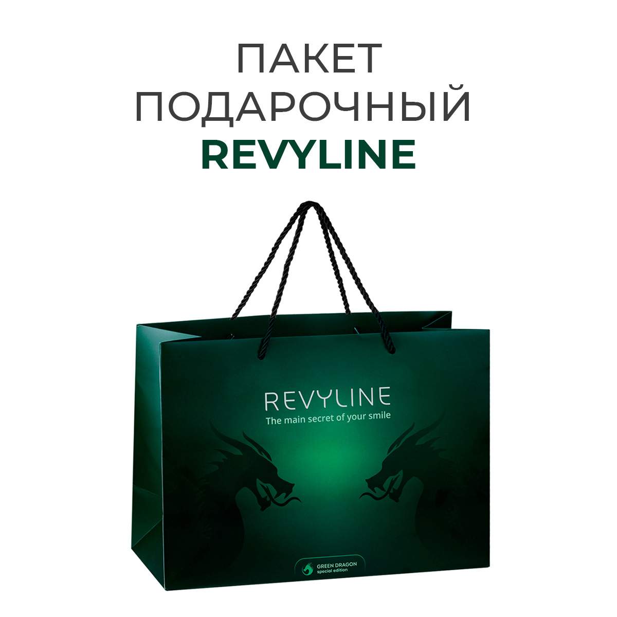 

Подарочный пакет Revyline, зелёный, M 35х25 см, Зеленый, Подарочный пакет 1