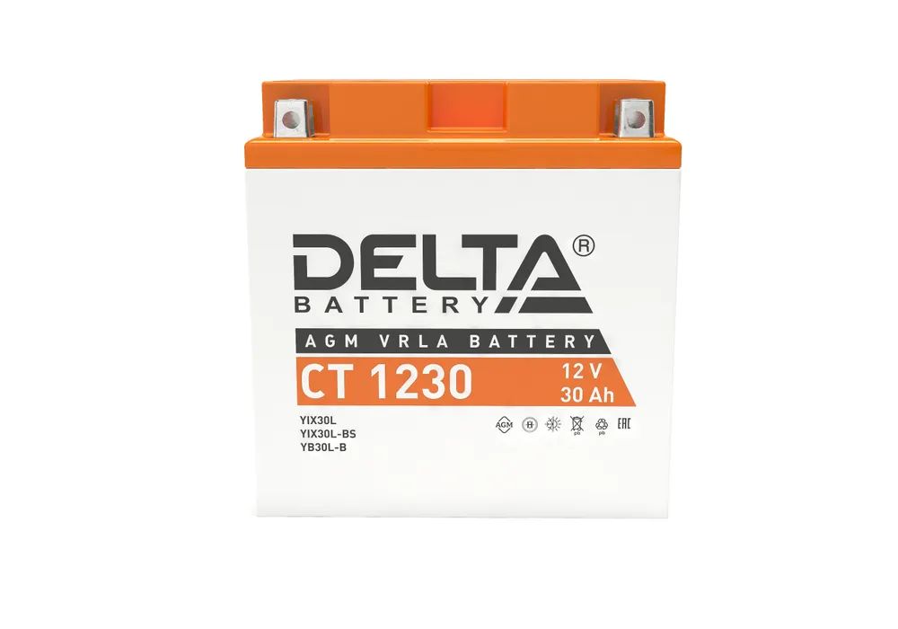 

Мото аккумулятор стартерный Delta CT 1230 12В 30Ач обратная полярность 300A (12V 30Ah) (YT