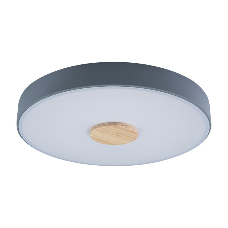 

Потолочный светильник Loft IT AXEL 10003/24 Grey, Axel