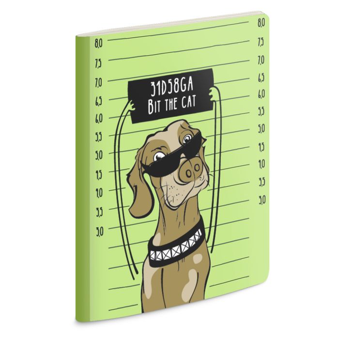 

Записная книжка Феникс+ А5+ 53508/ 5 ПЁС