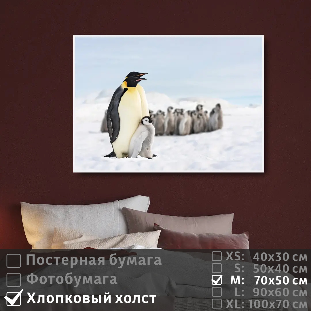 

Постер на холсте ПолиЦентр Про семью пингвинов 70х50 см, ПроСемьюПингвинов