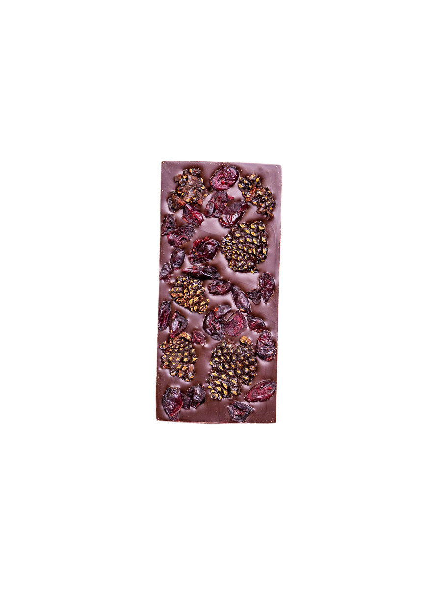 

Шоколад Вкус тайги с сосновыми шишками и таёжной клюквой 100 г