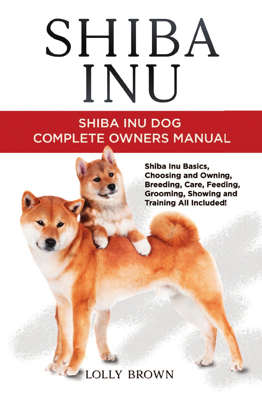 

Shiba Inu